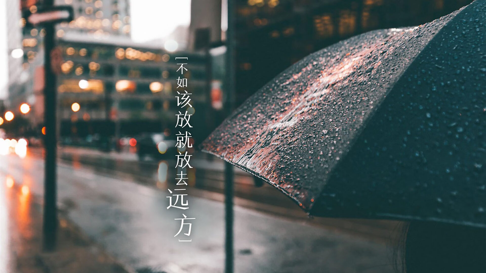 中国篮球运动员体能数据监测，篮球运动员体检数据