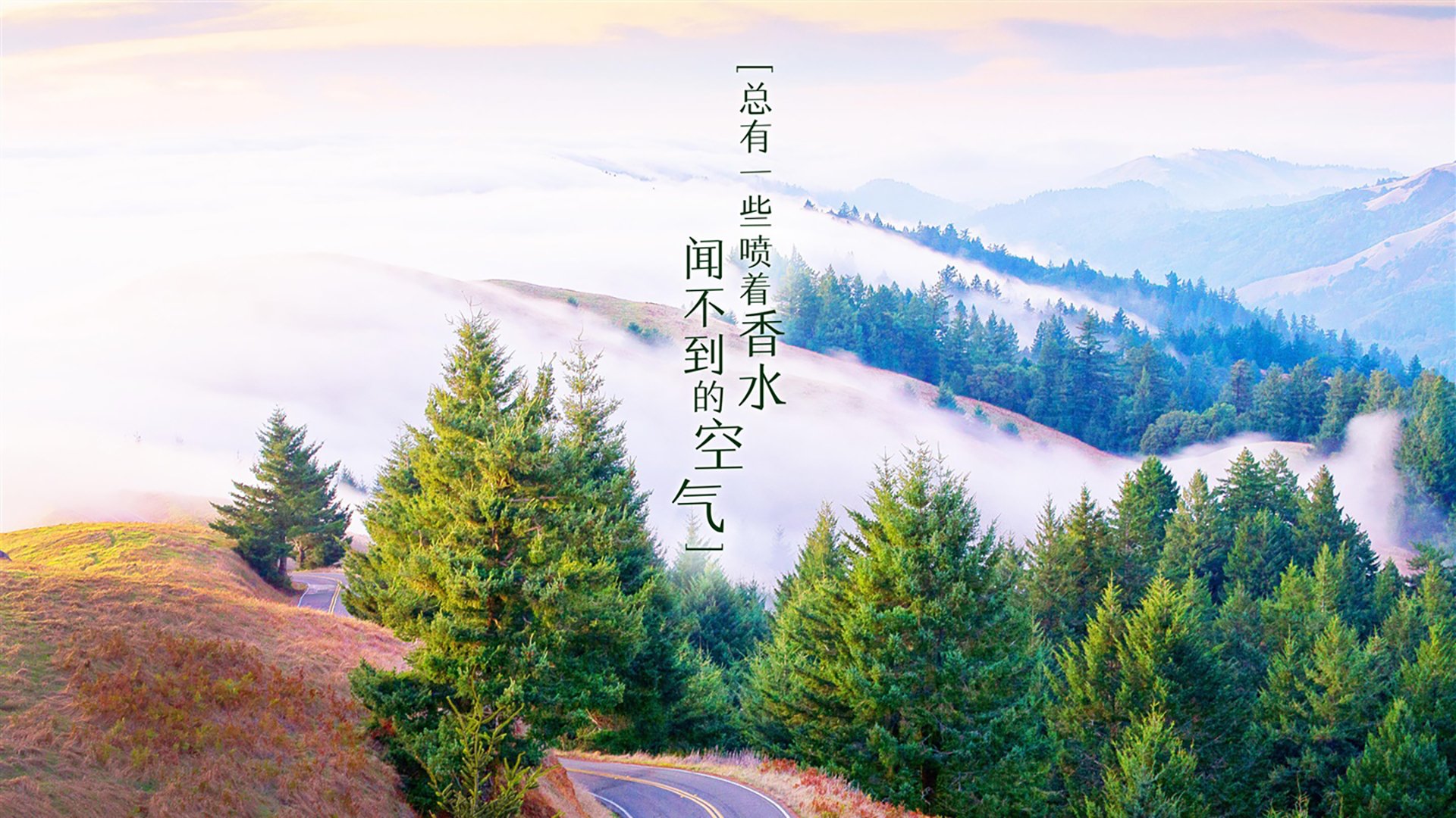亚洲篮球联赛观众热情持续高涨，亚洲篮球杯赛程
