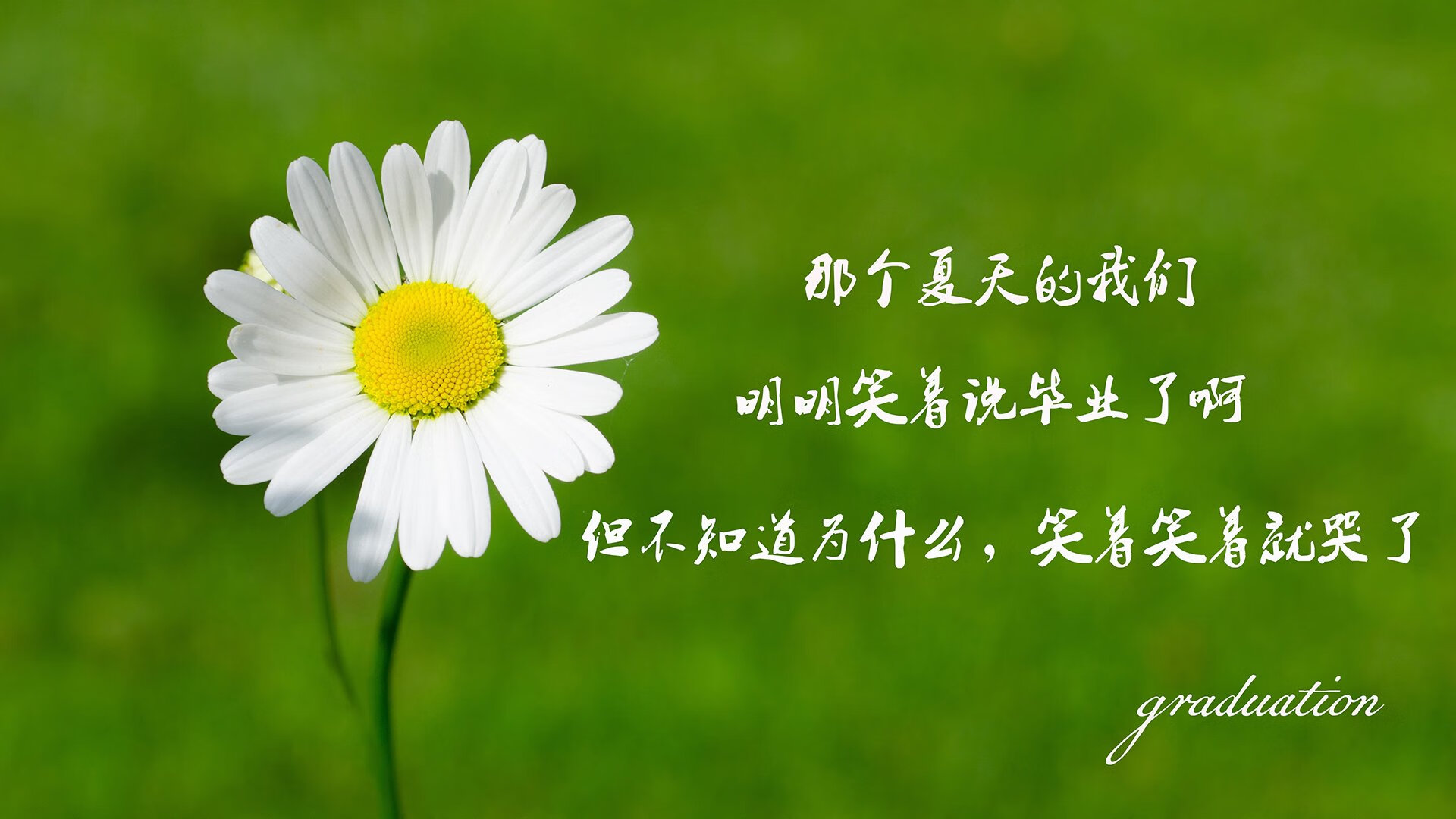热刺与水晶宫进行角逐，争夺胜利，热刺对水晶宫首发