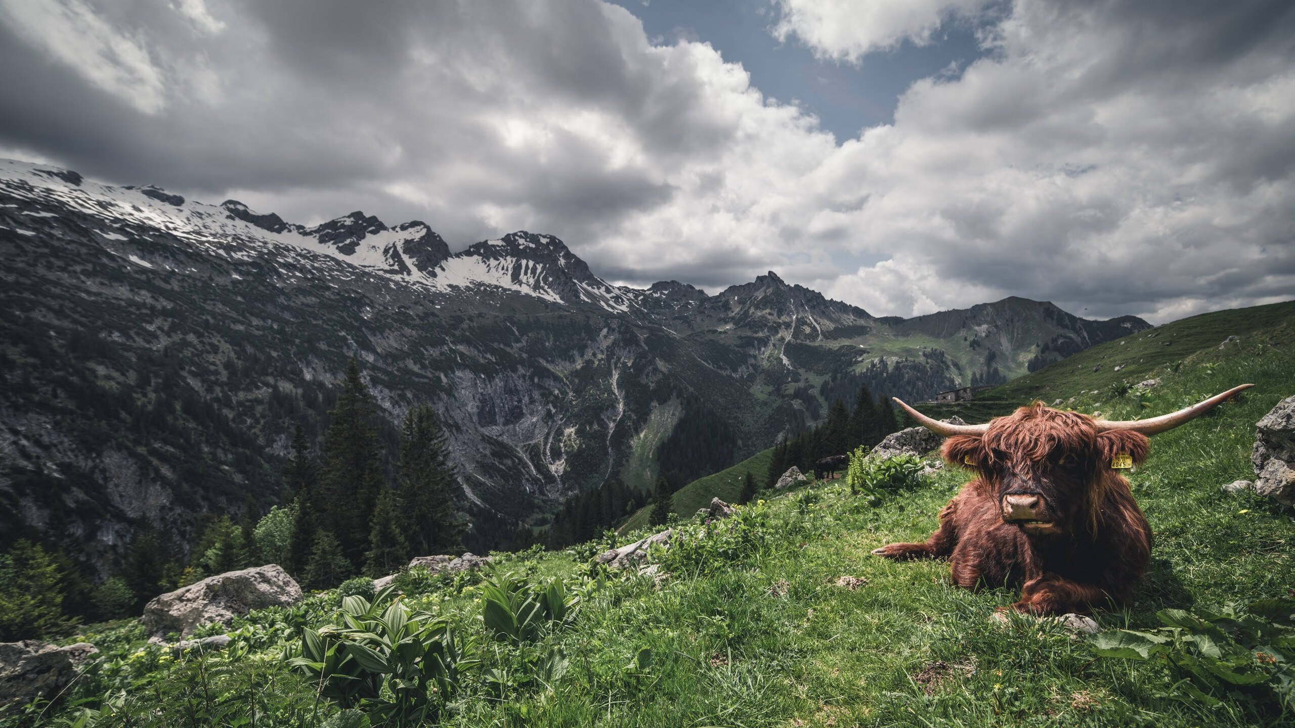 全国马拉松联赛北京站完美收官,全国马拉松锦标赛