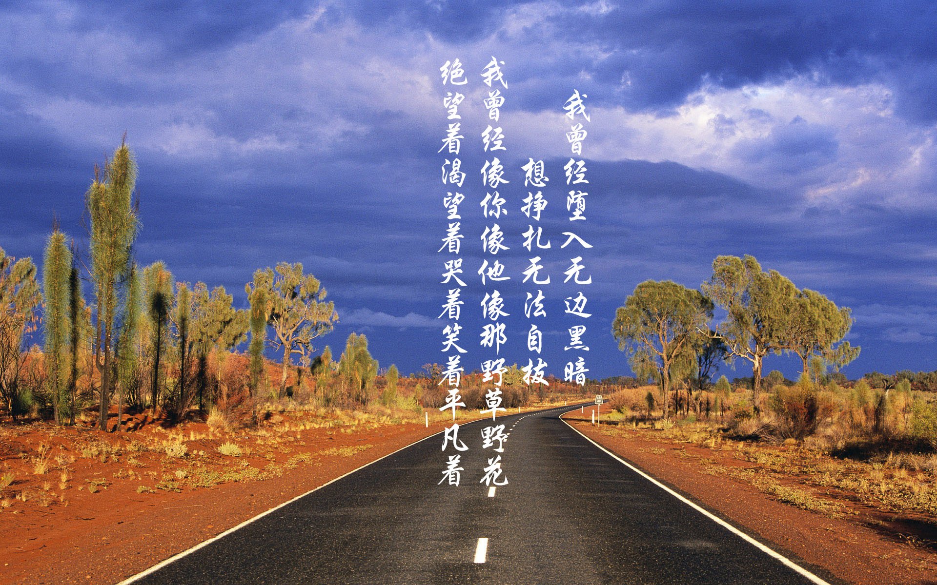 kaiyun登录入口-中国香港队赛制深度剖析：从团体配合到个人战术的完美融合，香港的比赛