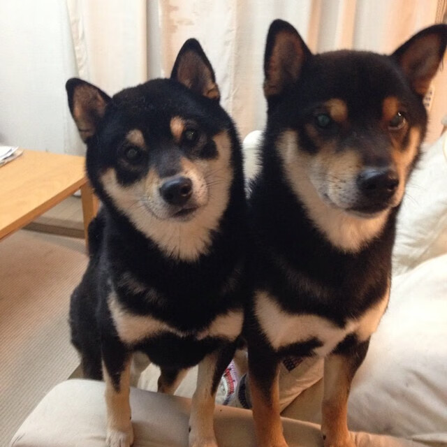 kaiyun网站-训练营考核系统引入分级打分标准，训练营入营须知