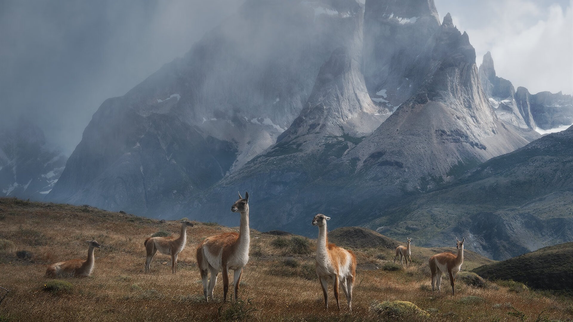 Kaiyun APP-马拉松赛道数据采集系统用于科研分析，马拉松赛道测量