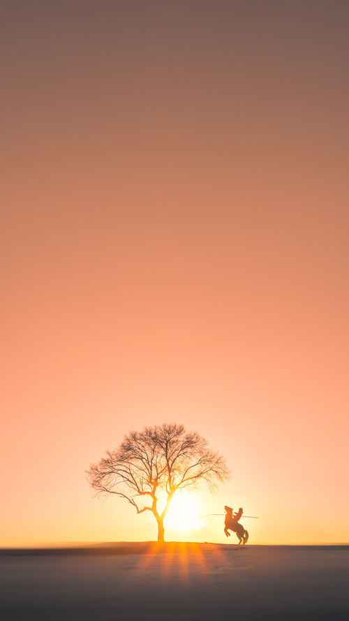 开云网页版登录入口-C罗遭遇冷门世界杯，c罗足球世界杯