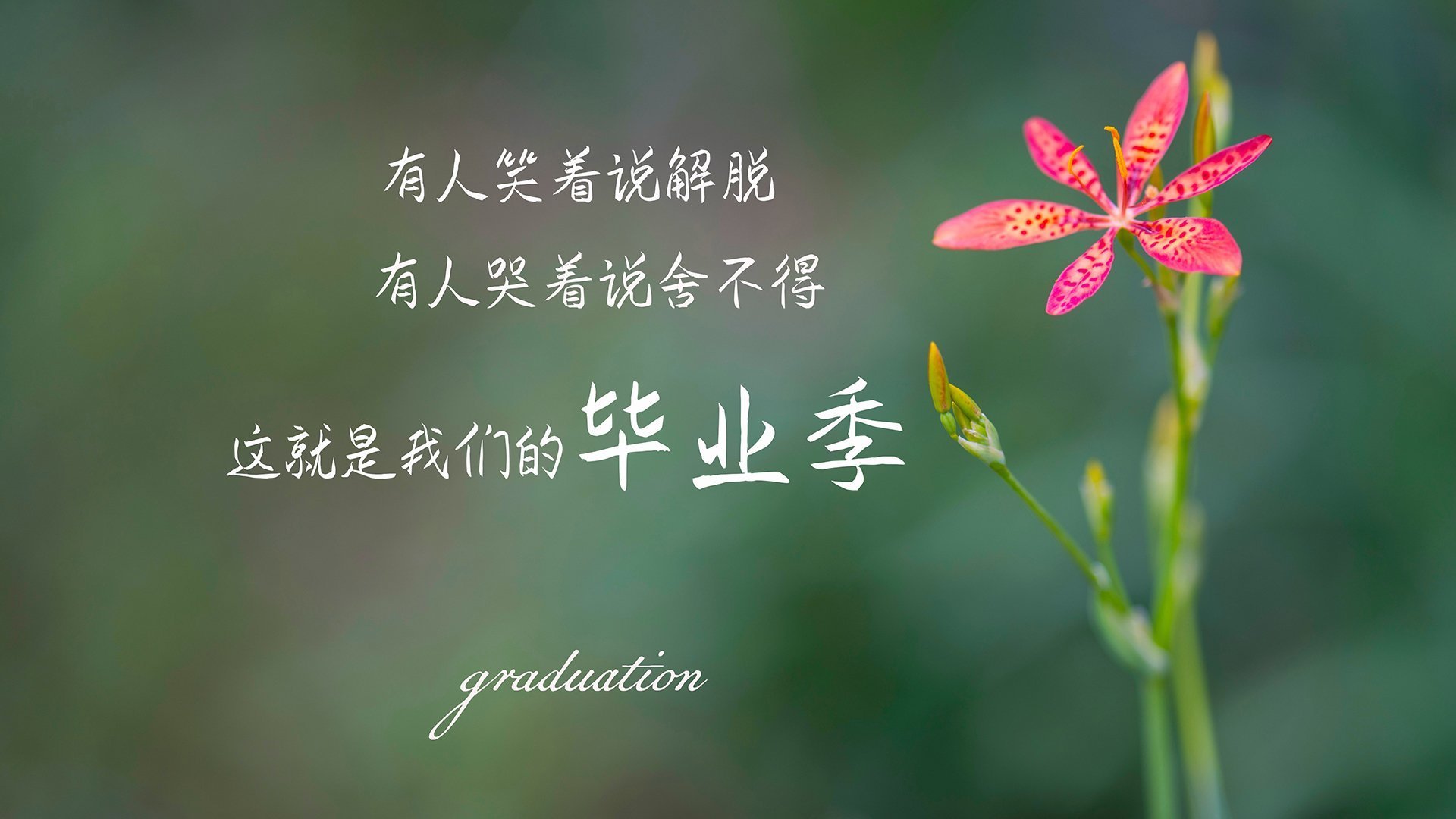 法甲巅峰对攻:攻守之中见真章,法甲实力