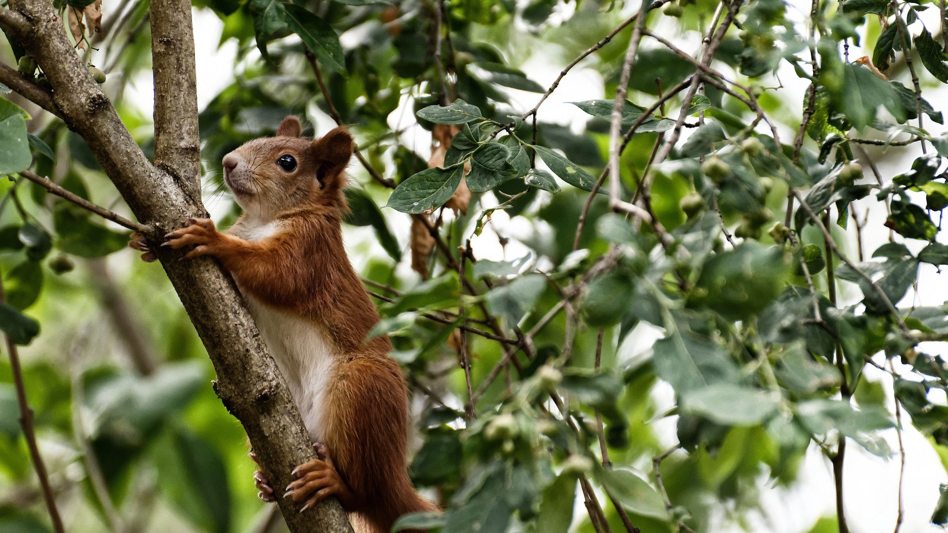 开云官网APP下载-球队内部培训计划启动强化年轻球员基础素质培养，球队的训练计划包括哪些