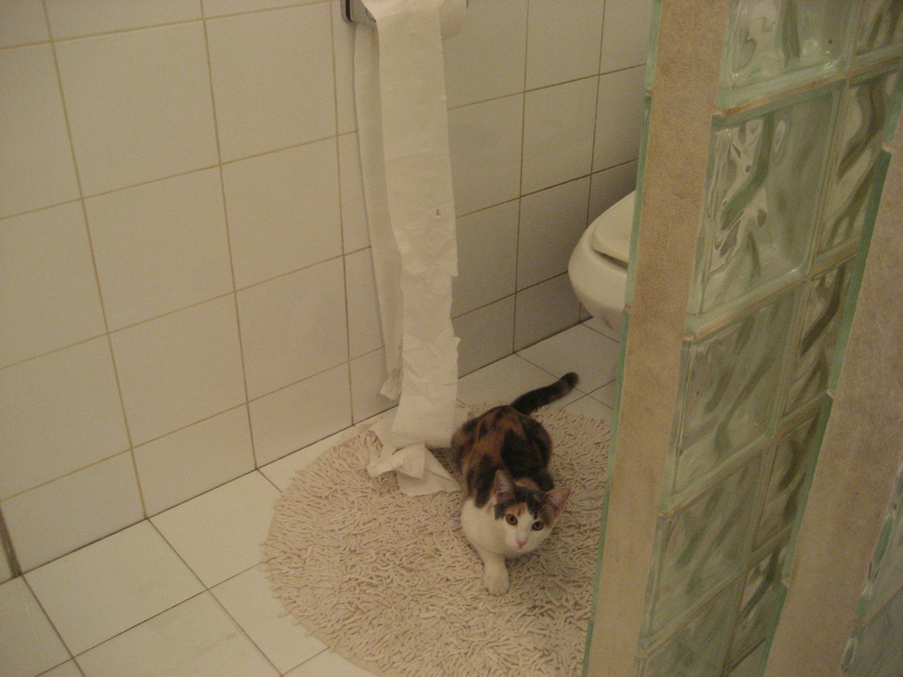 米兰双雄竞争激烈,争夺意甲冠军